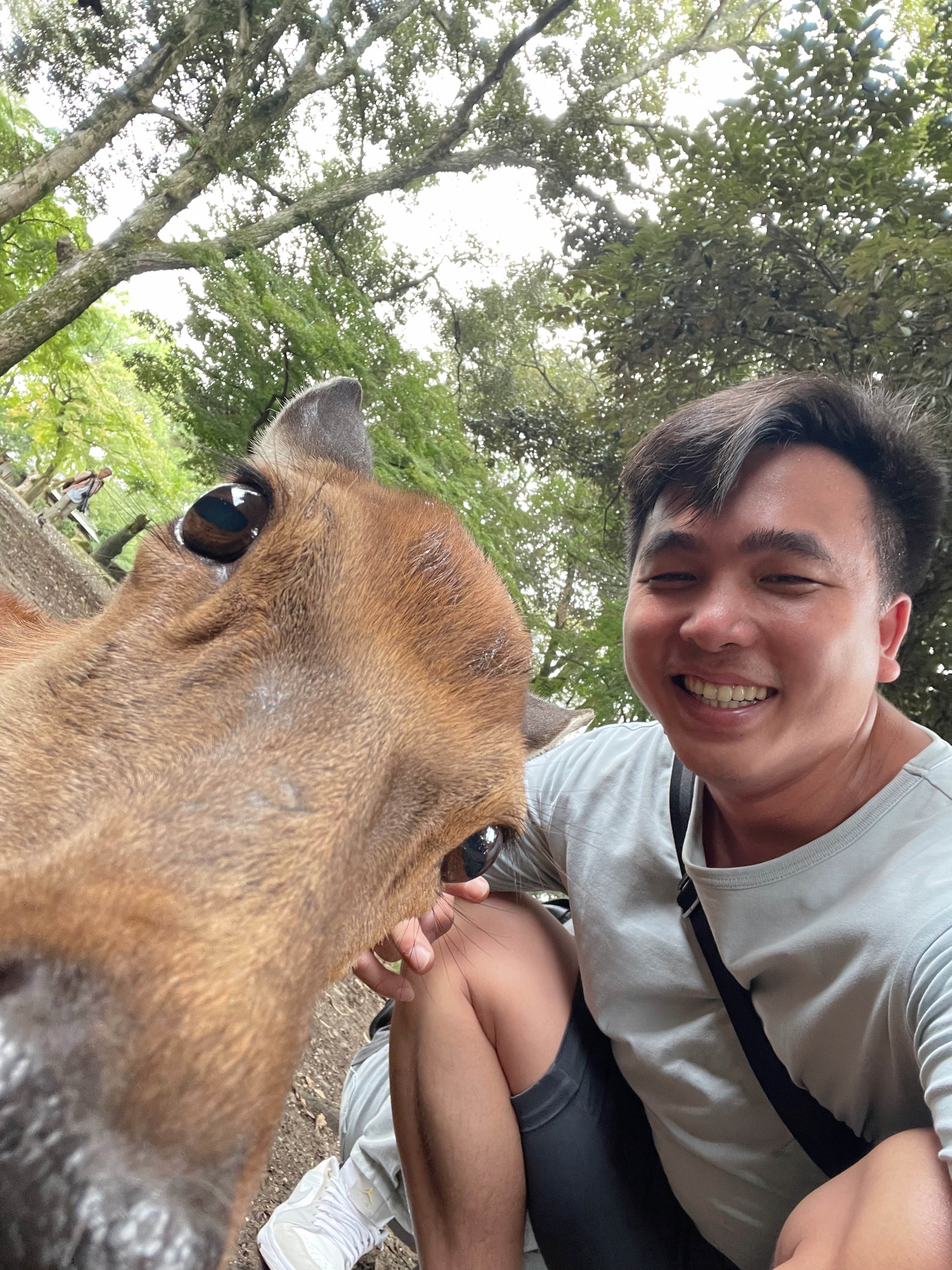 Web developer of Optimizer Vietnam company